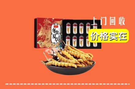 吉林永吉县回收冬虫夏草