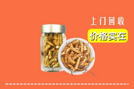 收购资讯:吉林永吉县回收散虫草